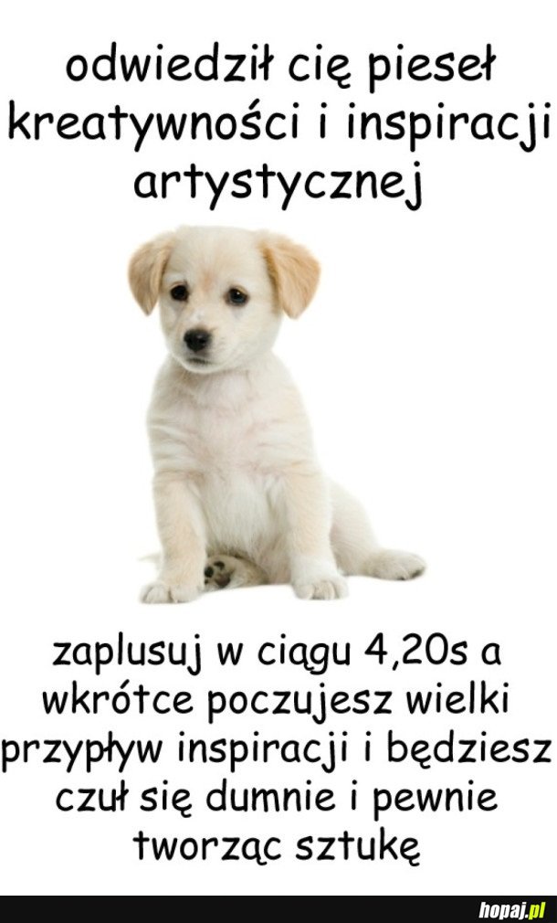 MOŻE SIĘ PRZYDAĆ!