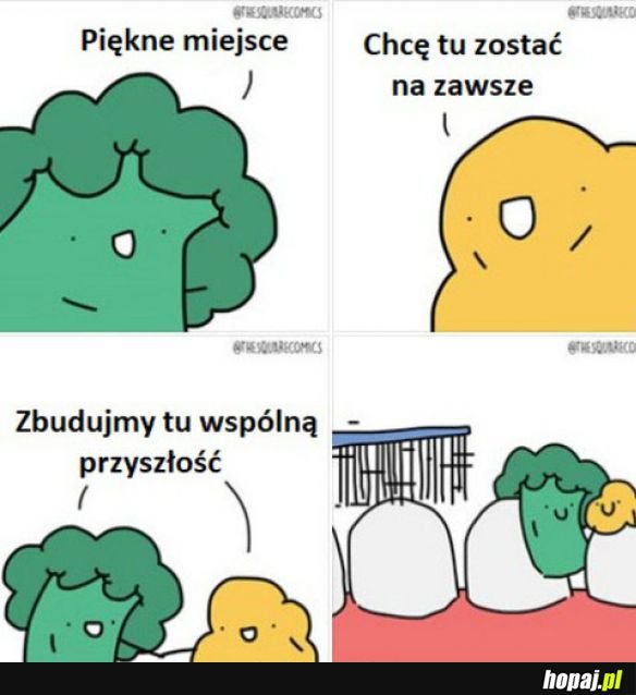 Zostajemy tu