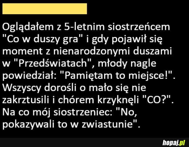 Dziecko zaskoczyło dorosłych