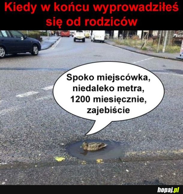 Niezależność