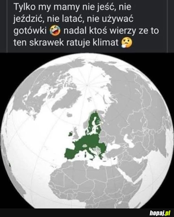 Oczekiwania, rzeczywistość