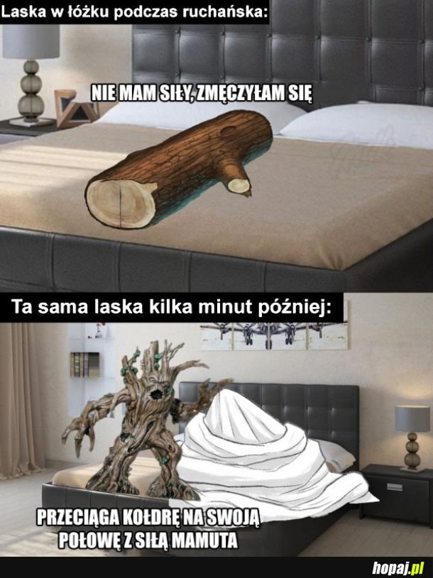 A jednak ma siłę