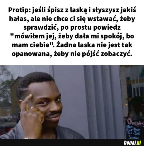 Nie działa, jeśli jesteś piwniczakiem.