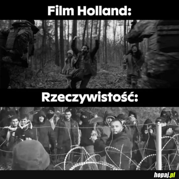 Film holandii