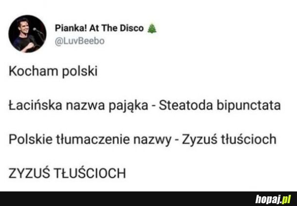 Polski język piękny język