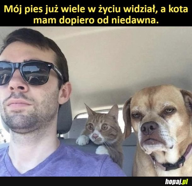 Chłop w szoku