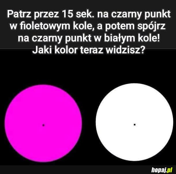 Dawno tu podobnego gówna nie widziałem