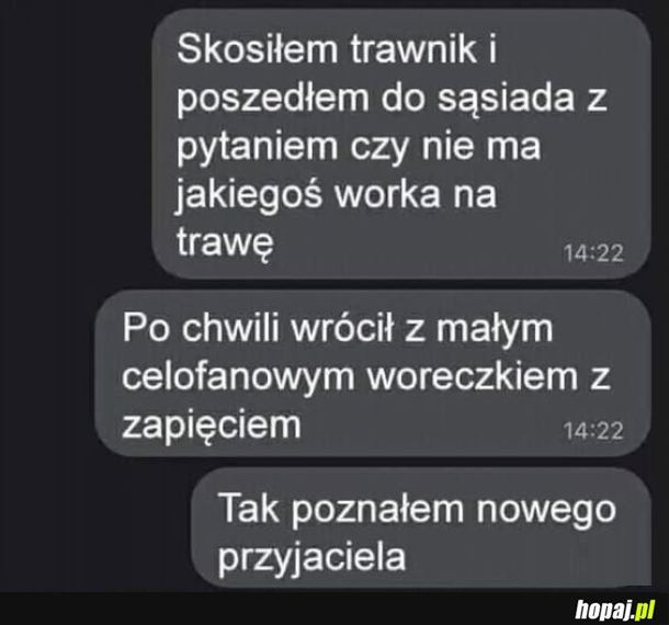 Nowy przyjaciel