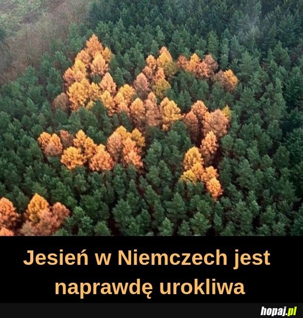 Jesień w Niemczech