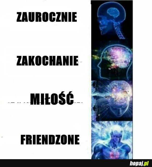 FRIENDZONE TAKI JEST