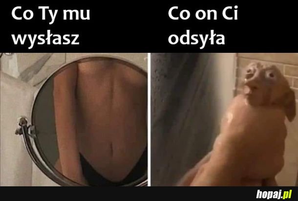 Wymiana zdjęciami