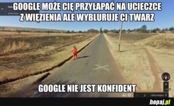 DOBRY ZIOMEK GOOGLE