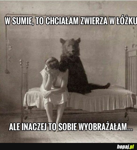 MYLNE WYOBRAŻENIA