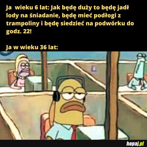 No nie wyszło. 