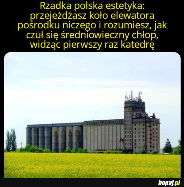 Ale bydlak