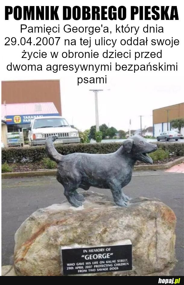 Najlepszy piesek