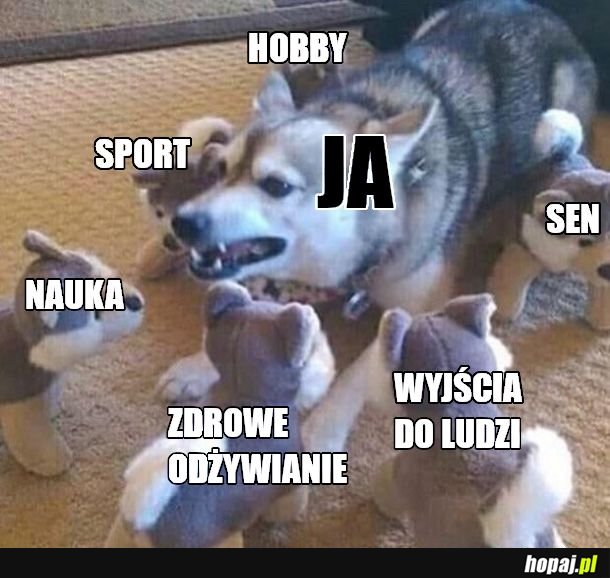 Sześciu jeźdźców apokalipsy 