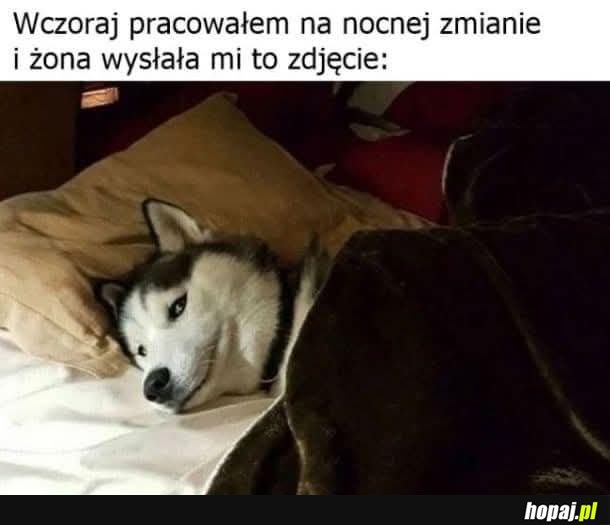 Pieseł