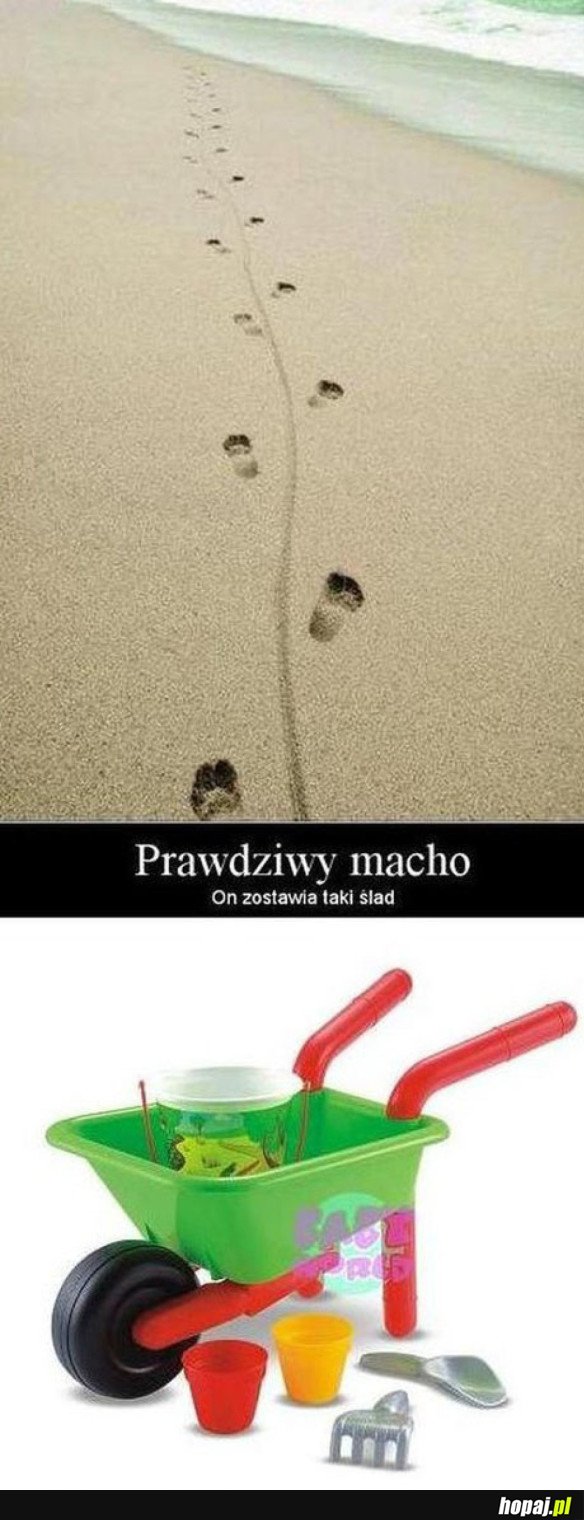 PRAWDZIWY MACHO