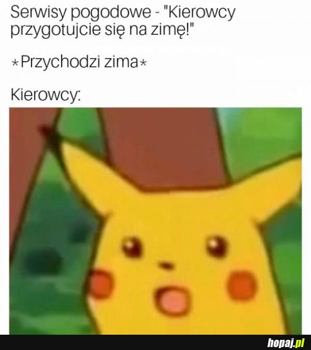 Kierowcy 