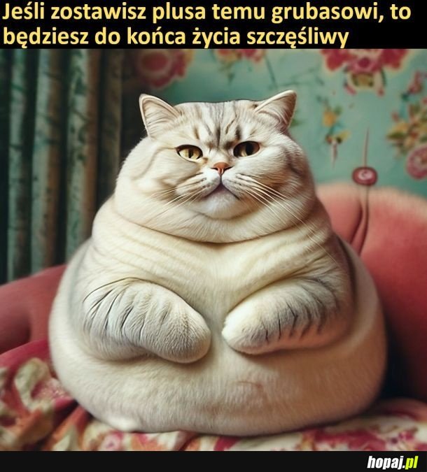 Hmm.. pewnie blef ale daje Nie będę ryzykował xd