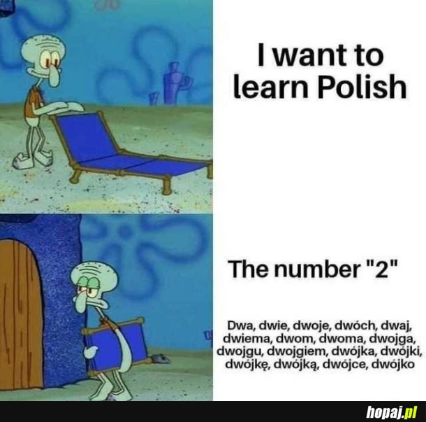 Nauka Polskiego