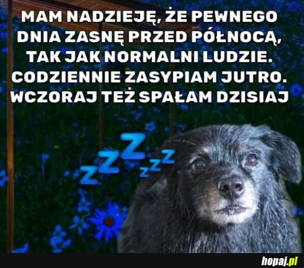 Nocka