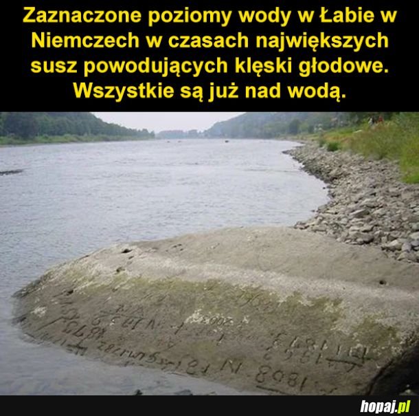 Poziom wody w Łabie