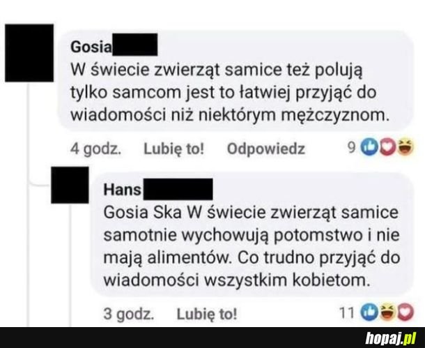 Świat zwierząt