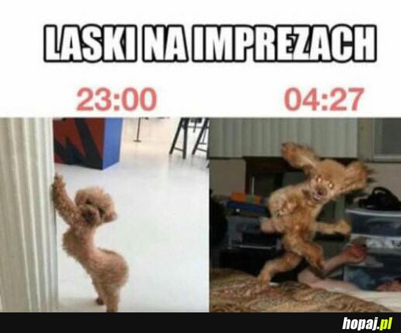 LASKI TAKIE SĄ 