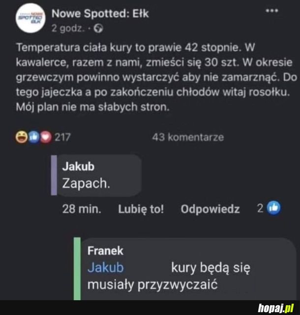 Z kurami