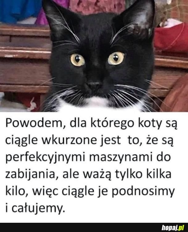 Cała prawda