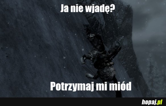 KAŻDY GRACZ SKYRIMA TO ROBIŁ