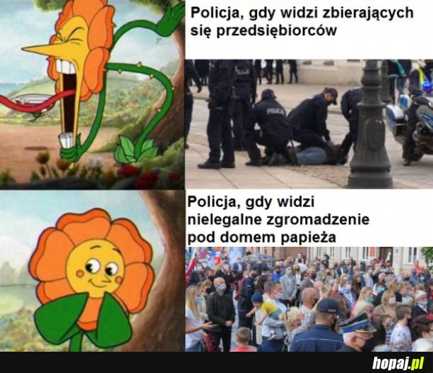 Policja dzisiaj