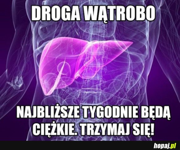 DROGA WĄTROBO