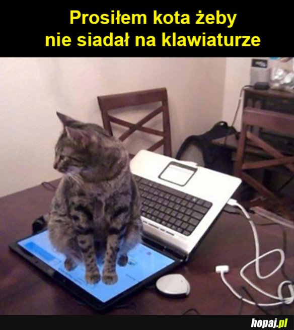 Logika kota