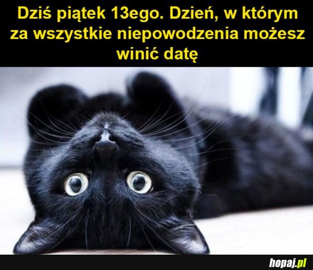 Szczęśliwy dzień