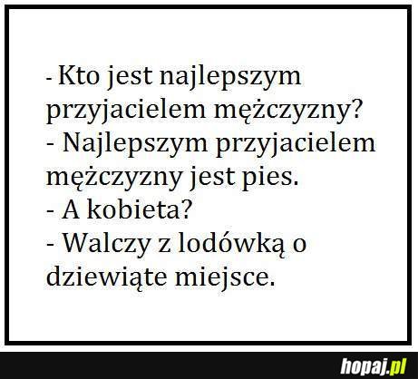 Kto jest najlepszym przyjacielem mężczyzny?