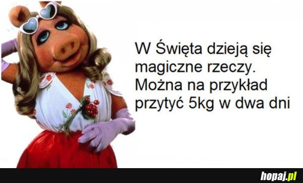 MAGIA ŚWIĄT