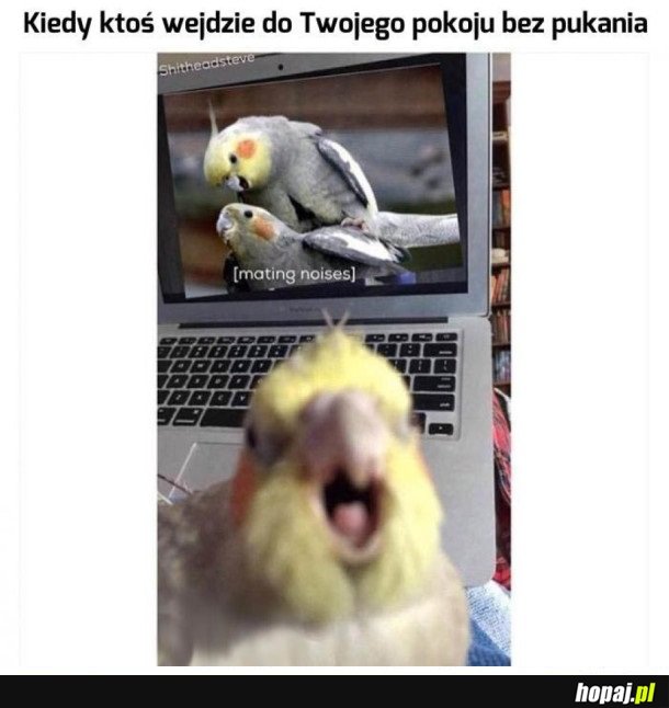 MOGĘ TO WYJAŚNIĆ!