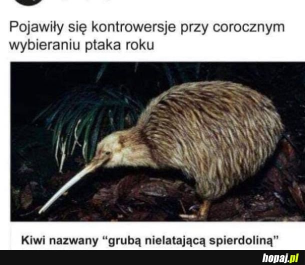  Aż mi się go szkoda zrobiło 