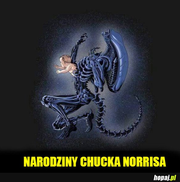 NARODZINY CHUCKA NORRISA