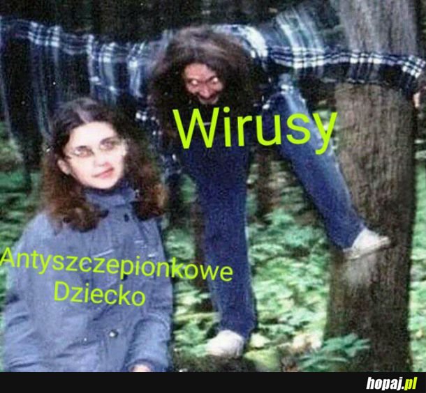 Wirusy 