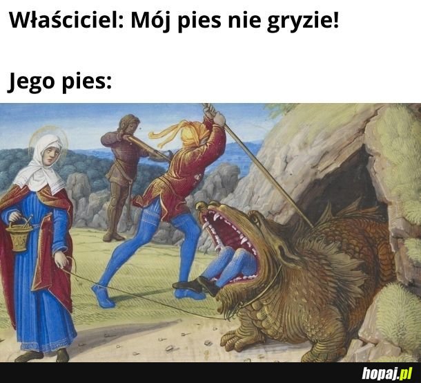 Piesek