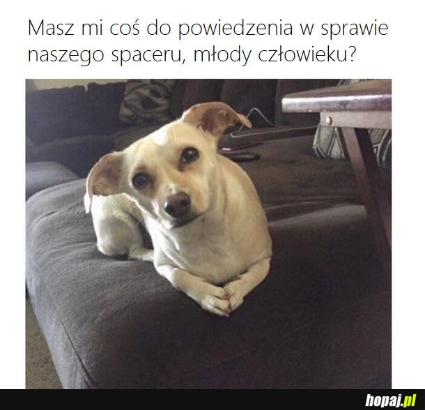 No słucham