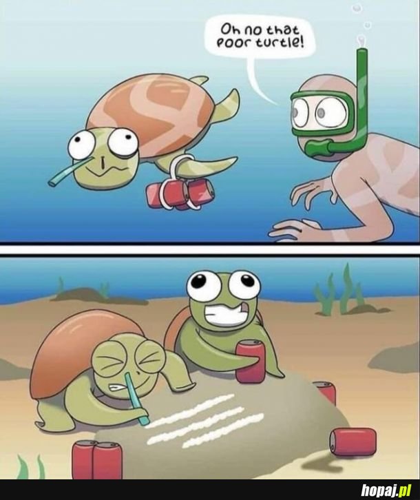 Biedny żółw 