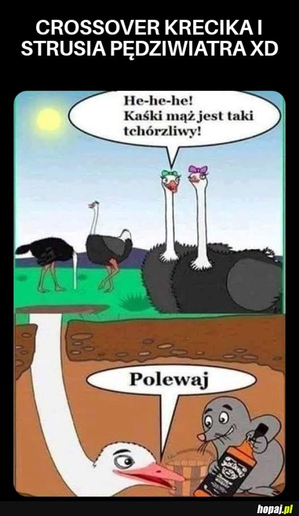 Hehe XD