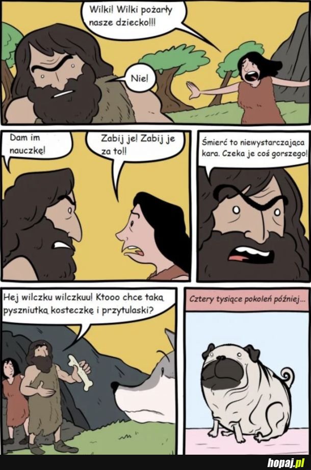 Zemsta na wilkach