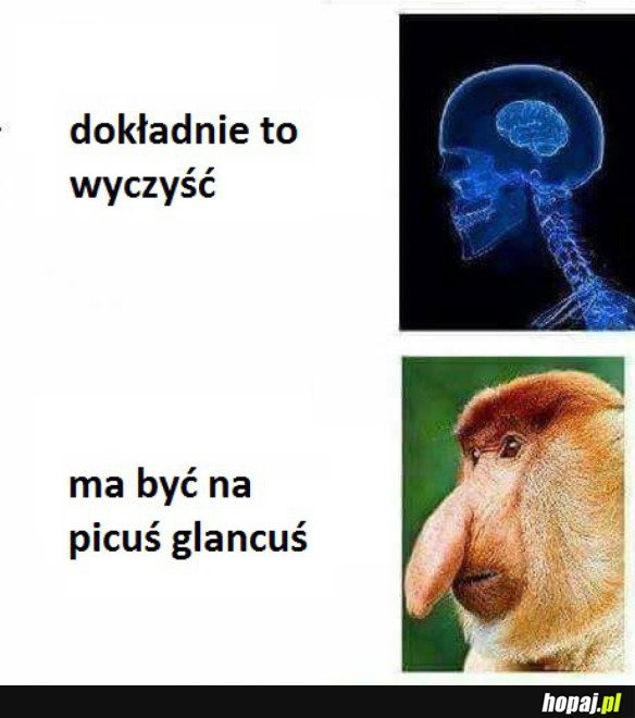 PICUŚ GLANCUŚ