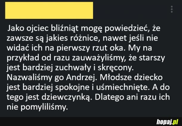 Ojciec bliźniąt